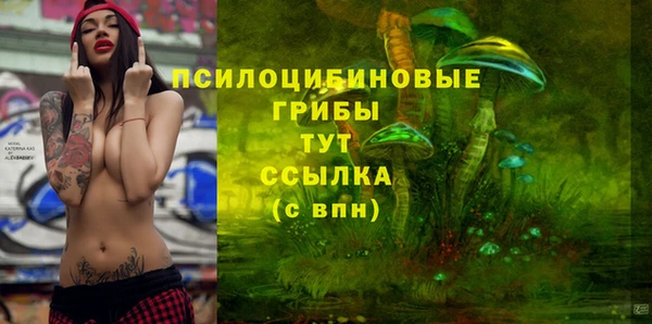 мдпв Киренск