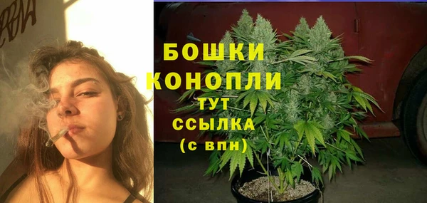 дмт Козловка