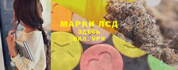 молекула духа Вуктыл