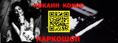 индика Гатчина