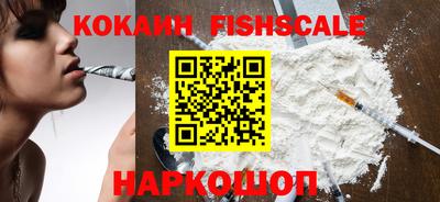 индика Гатчина