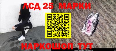 дживик Гай