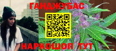 индика Гатчина