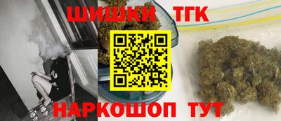 индика Гатчина