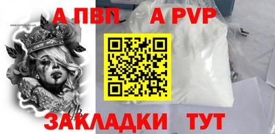 индика Гатчина