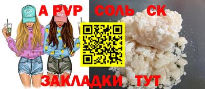 индика Гатчина