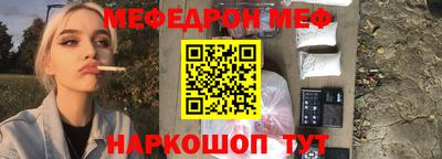 индика Гатчина