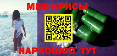 индика Гатчина