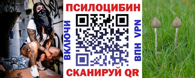 Галлюциногенные грибы мицелий  Клинцы 