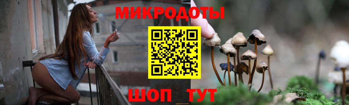 хочу наркоту  Вход с VPN  Клинцы  Псилоцибиновые грибы GOLDEN TEACHER 